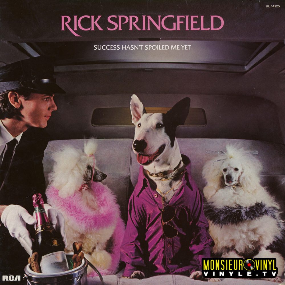 rickspringfield-success